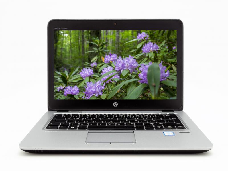 HP EliteBook 830 G6 33,75cm (13,3") FHD TFT